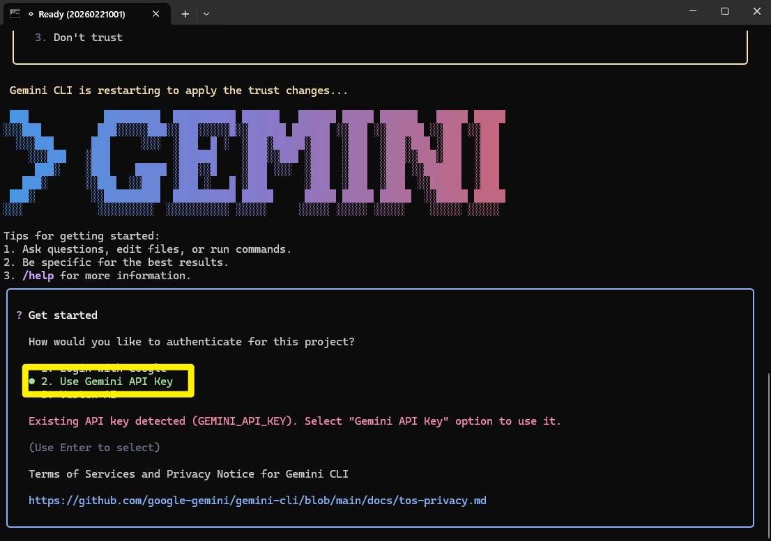 Gemini CLI Installed 2