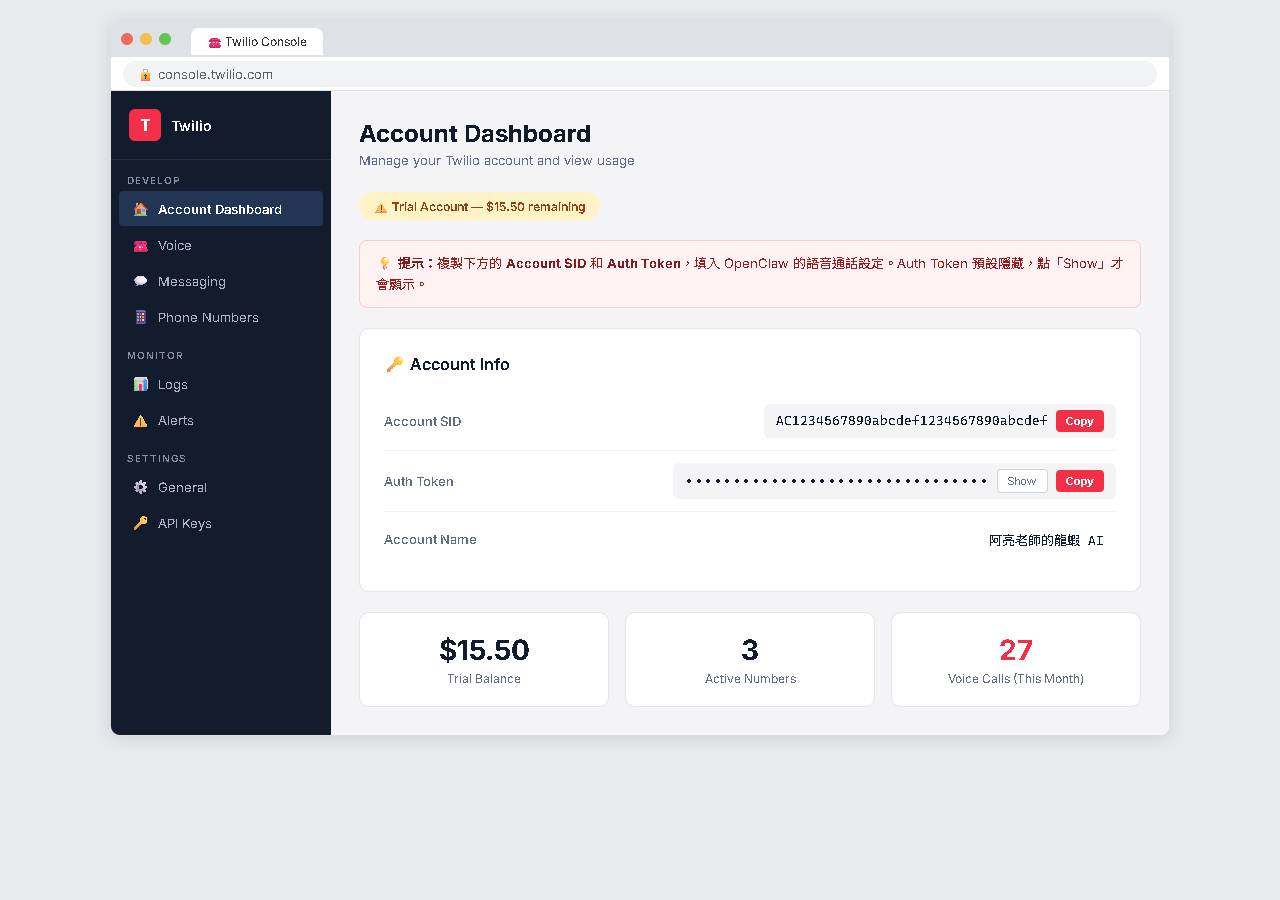 Twilio Console
